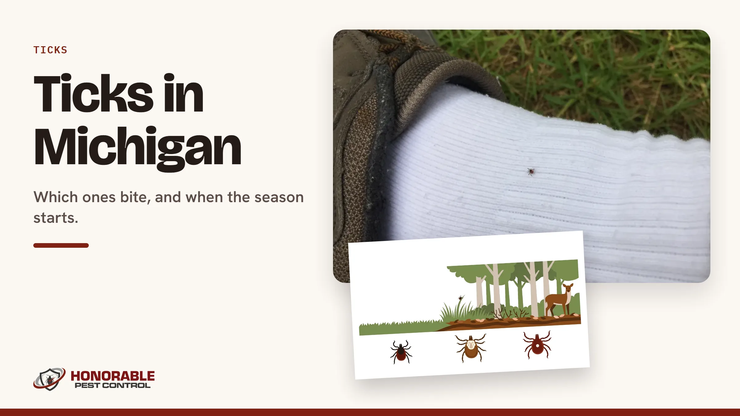Blog cover reading "Ticks in Michigan" with a photo of a deer tick on a white sock and a drawing from the post