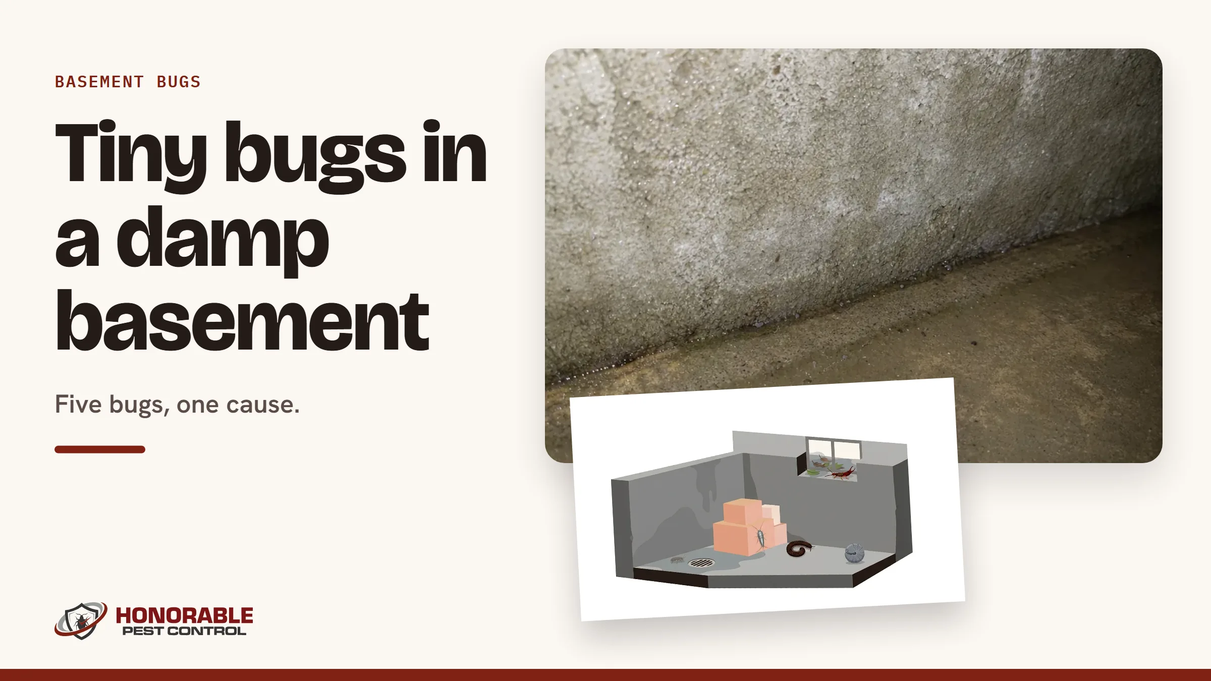 Blog cover reading "Tiny bugs in a damp basement" with a photo of a damp basement wall and a drawing from the post