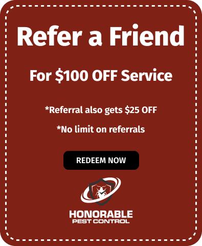 Refer a Friend