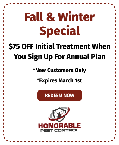 Fall & Winter Special